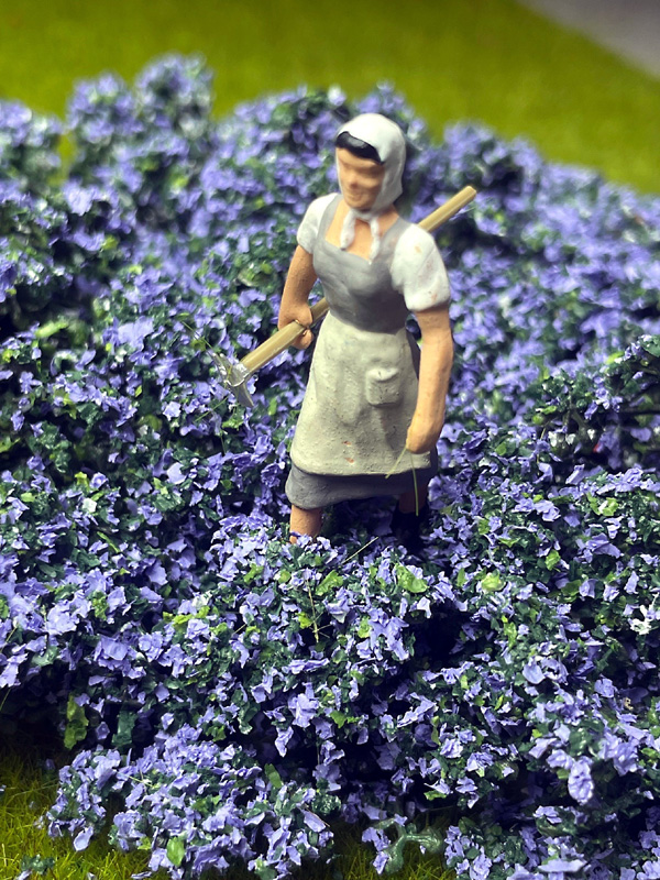 LAVENDER BUSH BRIAR PATCH